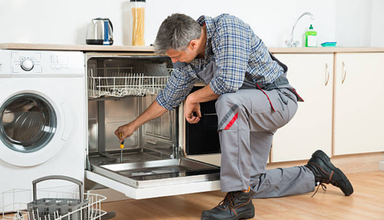 Bosch Dishwasher Repair